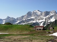 Da Valcanale-Rif. Alpe Corte salita al Passo Laghi Gemelli e a Cima Giovanni Paolo II il 21 maggio 09 - FOTOGALLERY